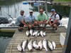 (07/18/2018) - Nice Striped Bass
